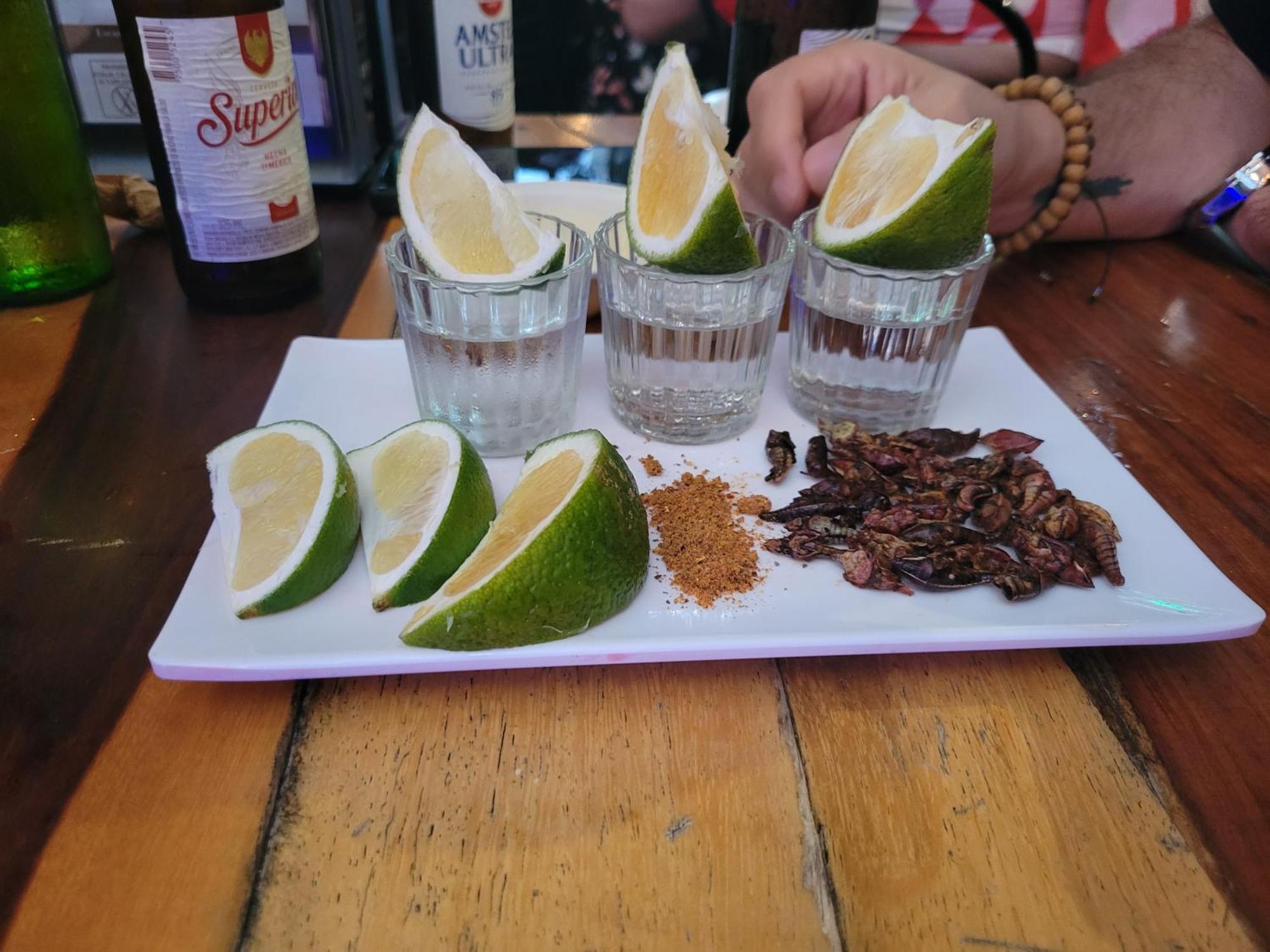 Blue Cat ميريدا المظهر الخارجي الصورة